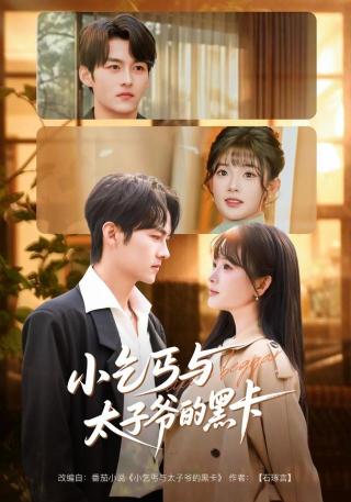 短剧小乞丐与太子爷的黑卡海报