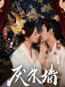 短剧厌朱墙海报