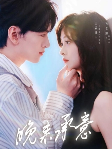 短剧晚来承意海报