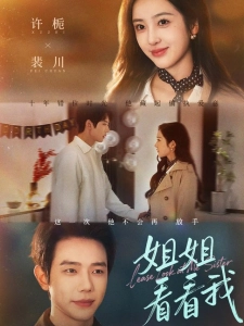 短剧姐姐看看我海报