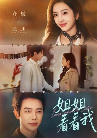 短剧姐姐看看我海报