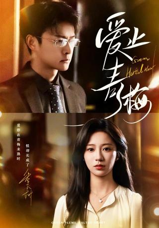 短剧爱止青梅海报