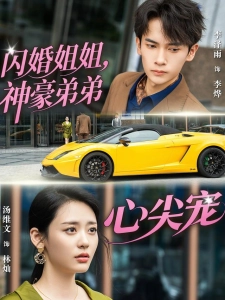 短剧闪婚姐姐，神豪弟弟心尖宠海报