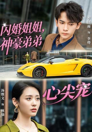 短剧闪婚姐姐，神豪弟弟心尖宠海报