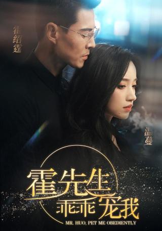 短剧霍先生乖乖宠我海报