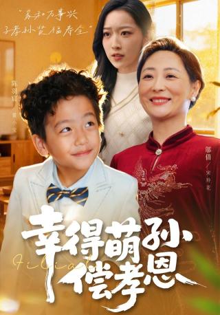 短剧幸得萌孙偿孝恩海报