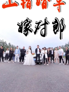 短剧上错婚车嫁对郎海报