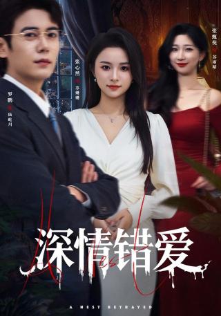 短剧深情错爱海报