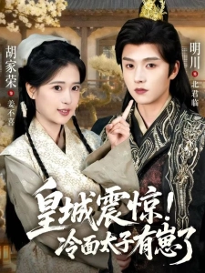 短剧皇城震惊！冷面太子有崽了海报