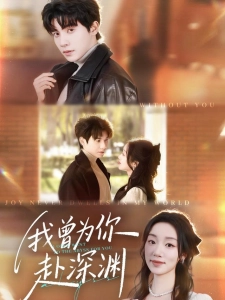 短剧我曾为你赴深渊海报