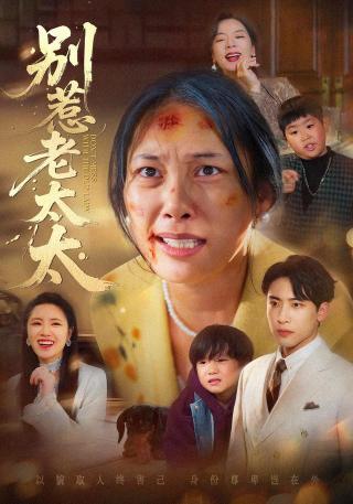 短剧别惹老太太海报