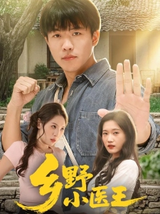 短剧乡野小医王海报