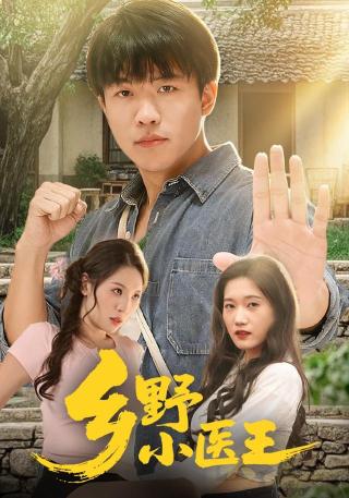 短剧乡野小医王海报